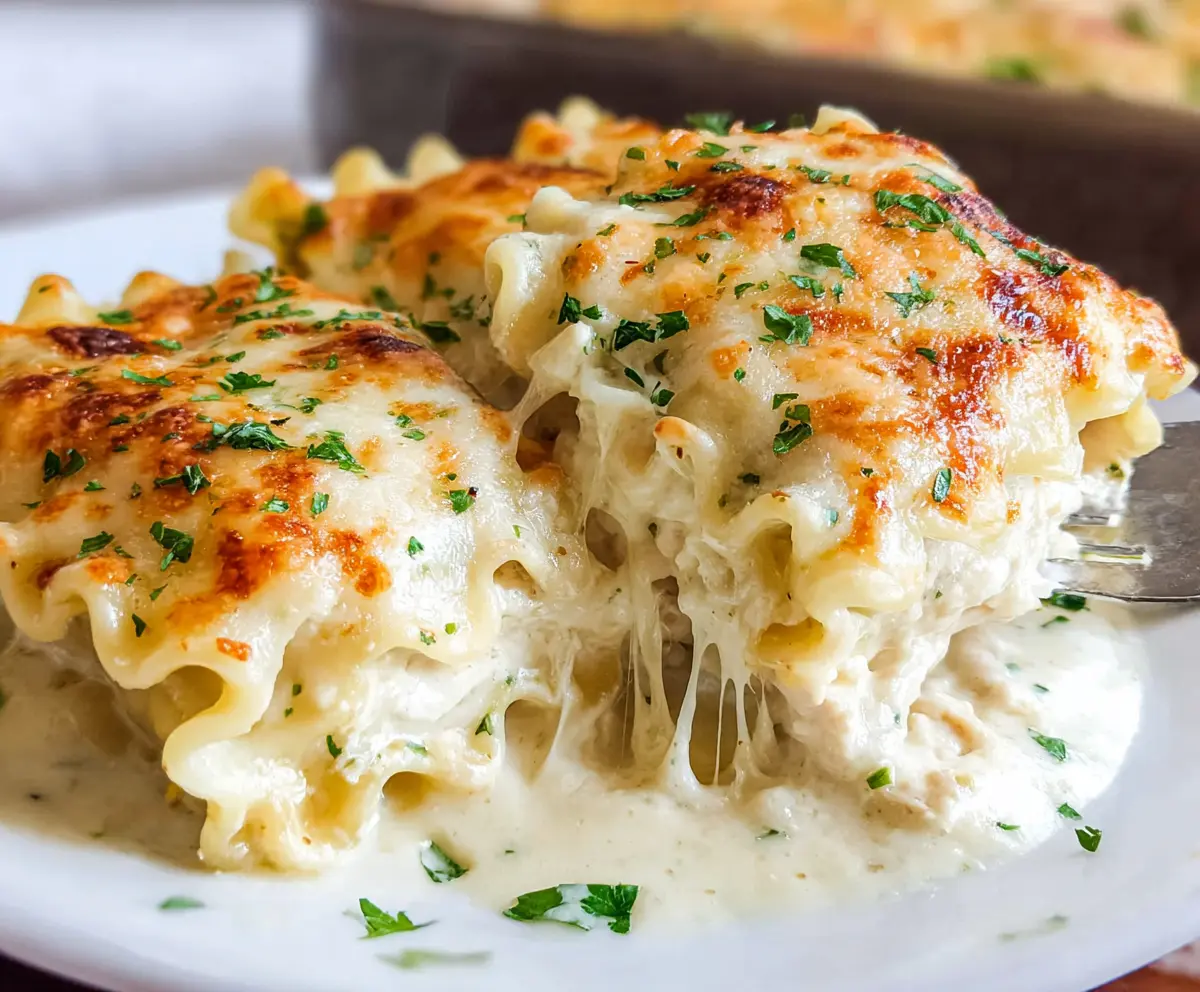 Delicious Chicken Alfredo Lasagna Rolls with creamy sauce and melted cheese