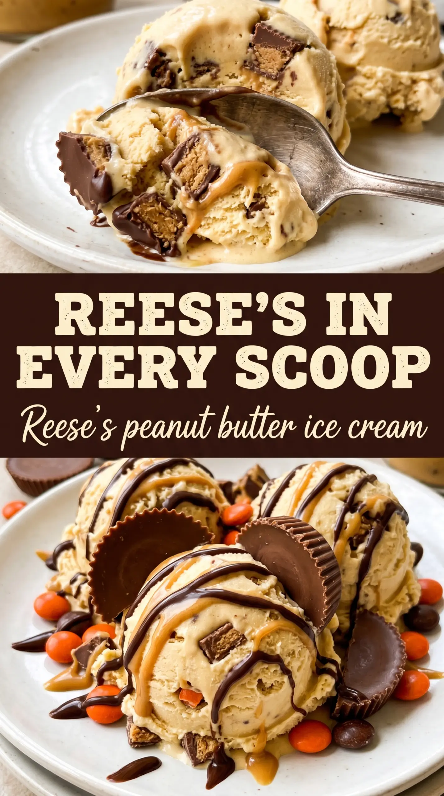 Reese's Peanut Butter Ice Cream creamy chocolatey chunks