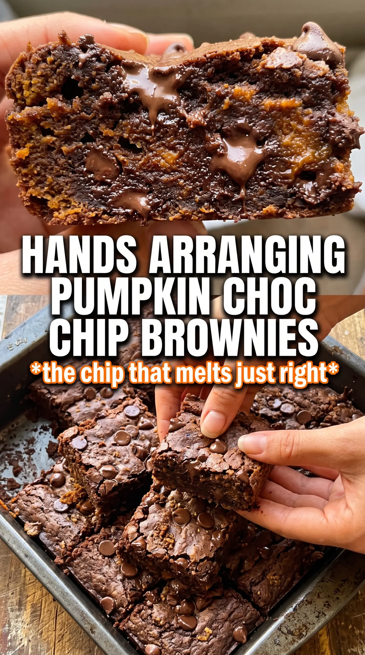 Pumpkin Chocolate Chip Brownies fudgy chocolate spiced