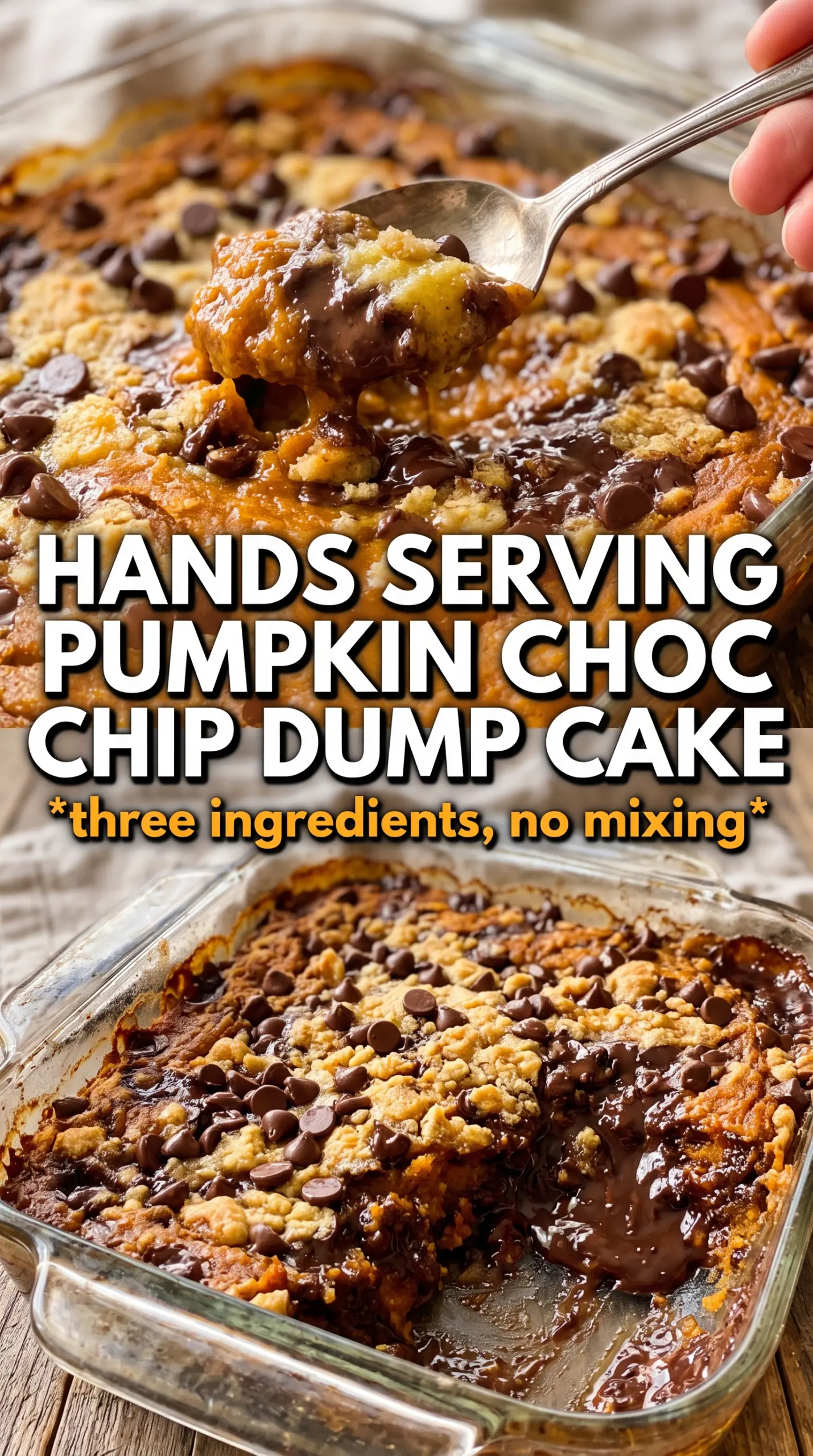 Pumpkin Chocolate Chip Dump Cake golden crumble chocolate chips