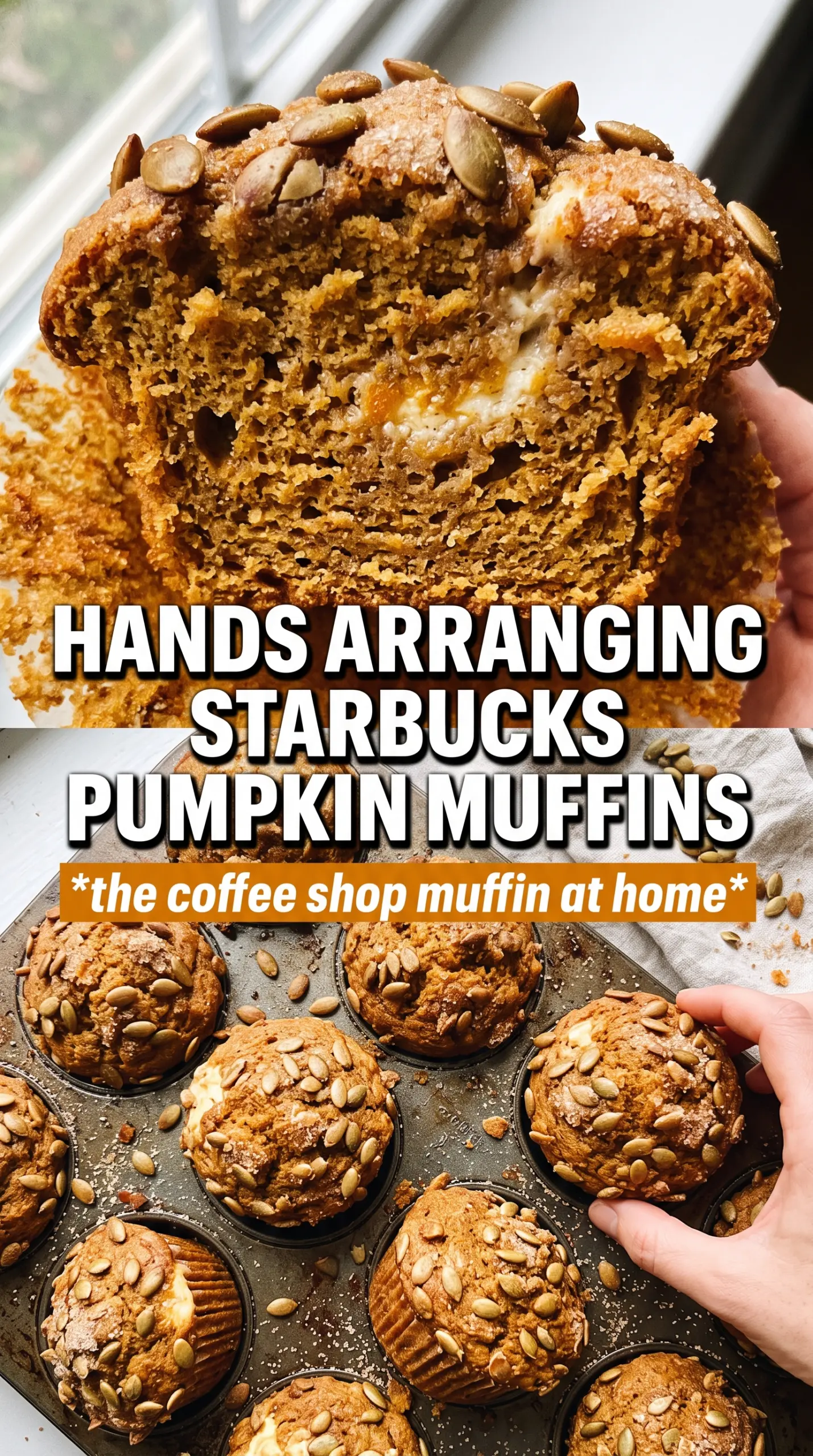 Starbucks Pumpkin Muffins domed spiced bakery-style
